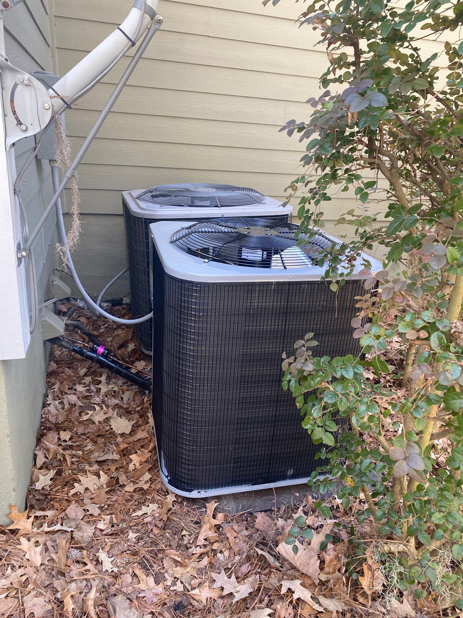 Two residential air conditioning units sit side-by-side next to the side of a house, surrounded by dead leaves and a shrub.