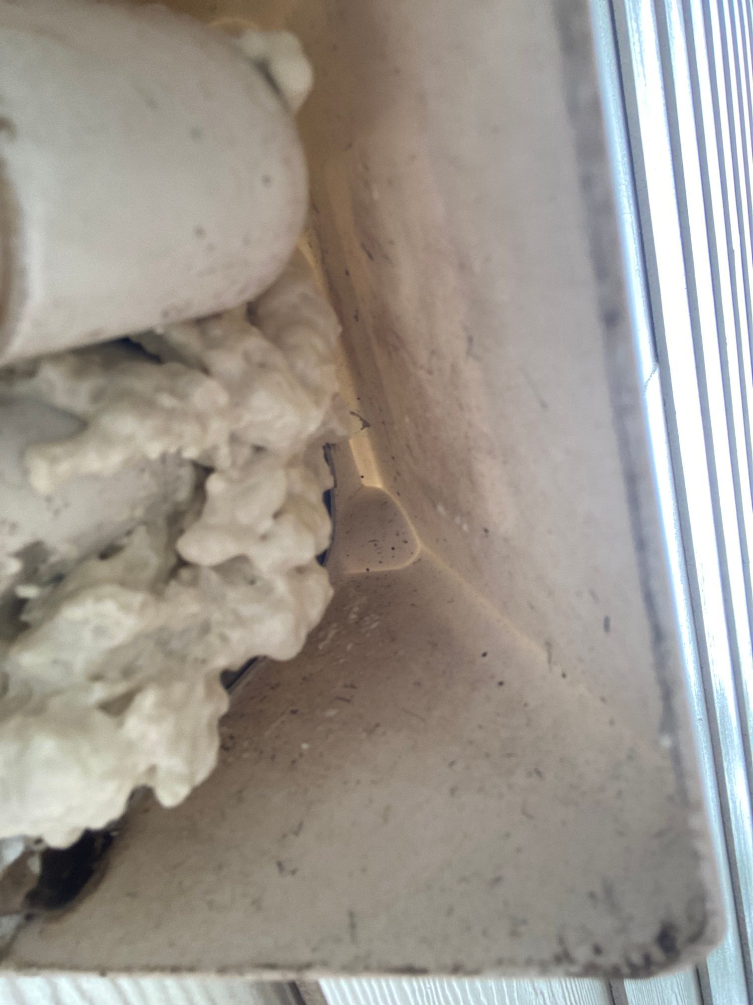 An indoor view of a pipe penetrating a wall, sealed with expanding gray spray foam insulation.