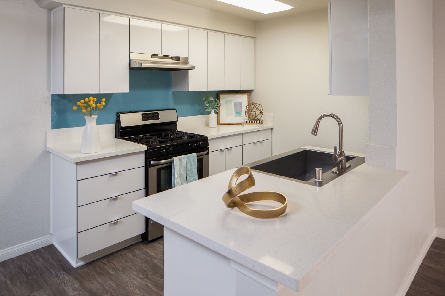 furnished kitchen