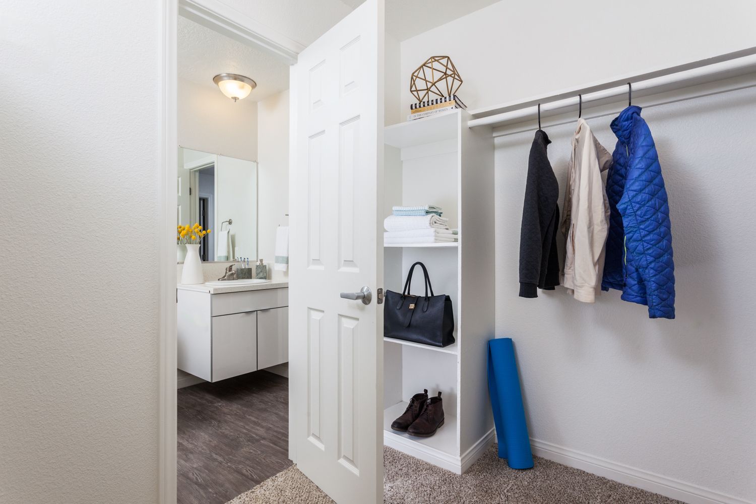 furnished closet