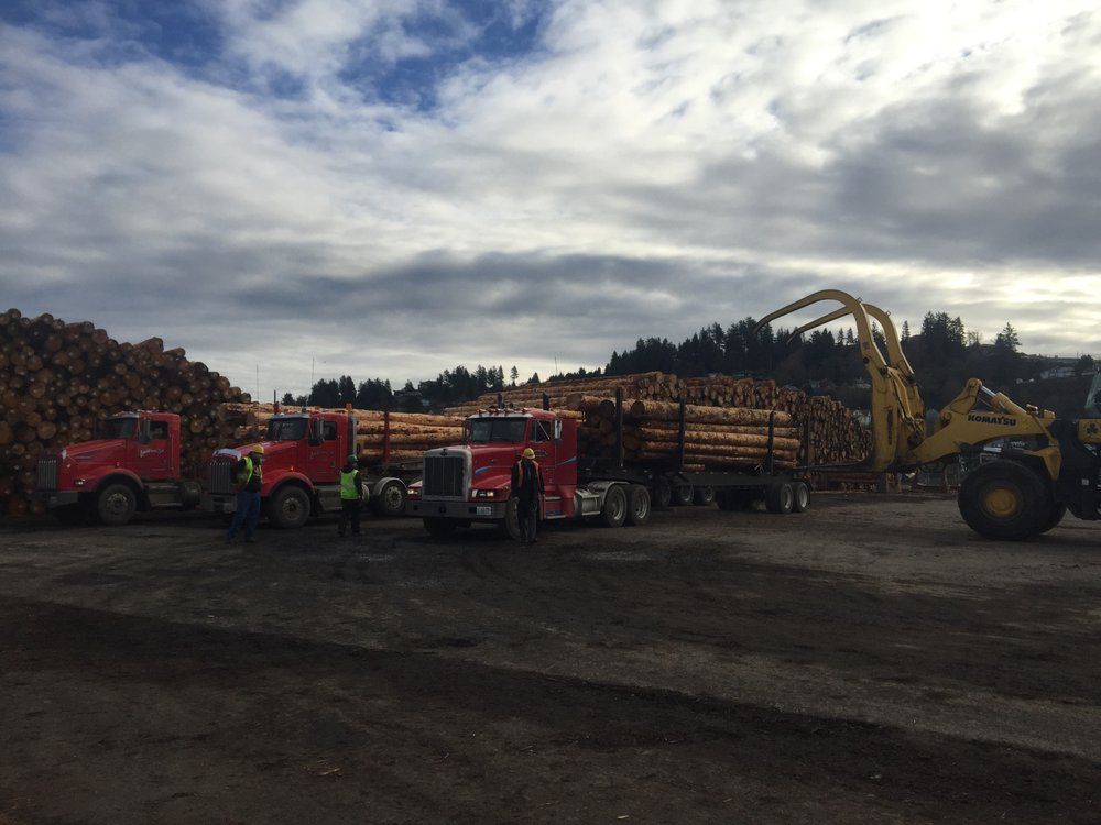 A group of trucks are parked in front of a pile of logs.
