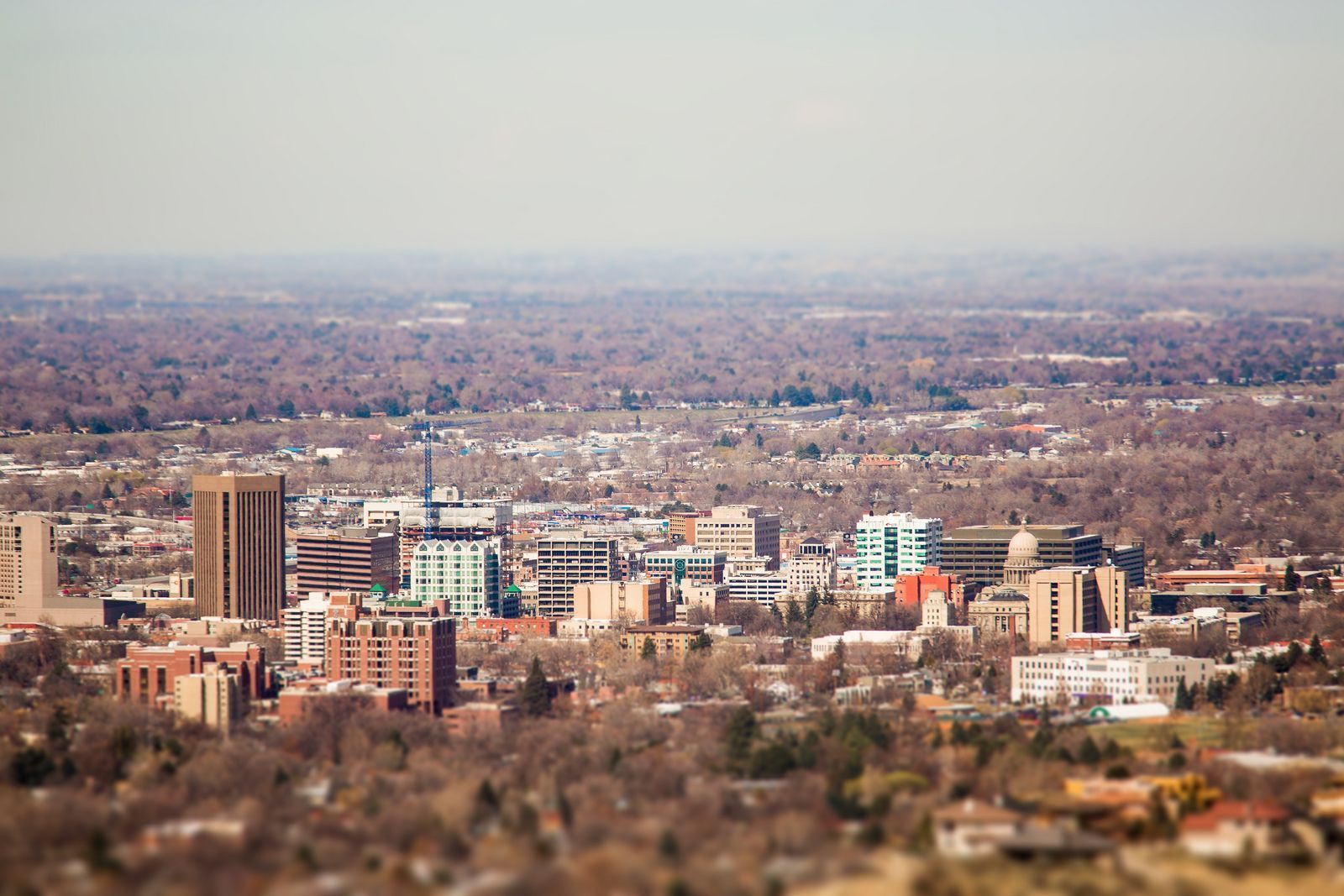 City skyline with trees, buildings in various colors, sunny day.