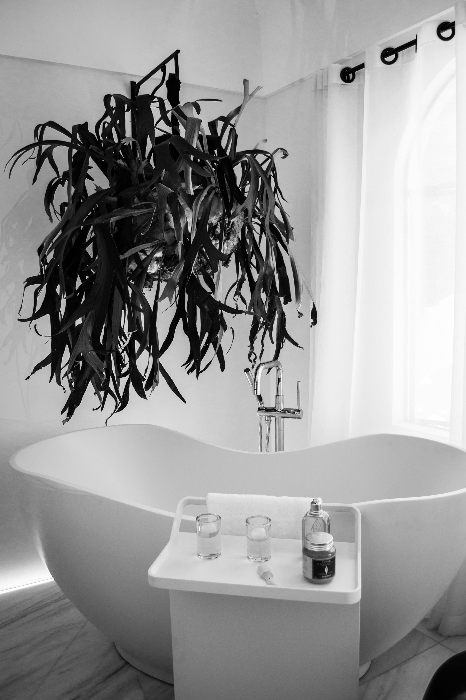 Freestanding white bathtub with plant hanging overhead. Bathroom setting, table with toiletries.