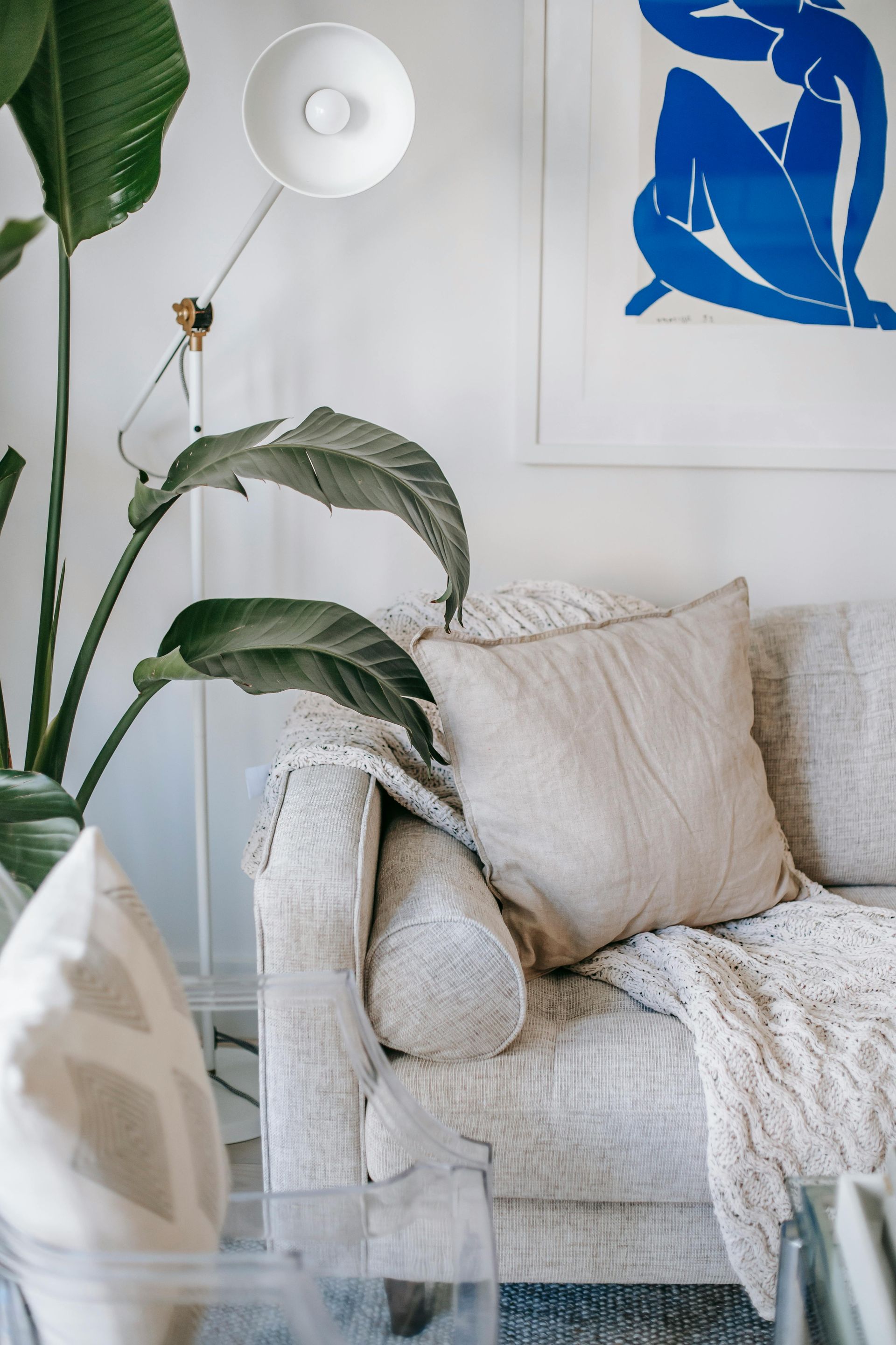 Cozy living room with cream sofa, large plant, art, and a modern lamp.