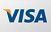 A close up of a visa logo on a white background.