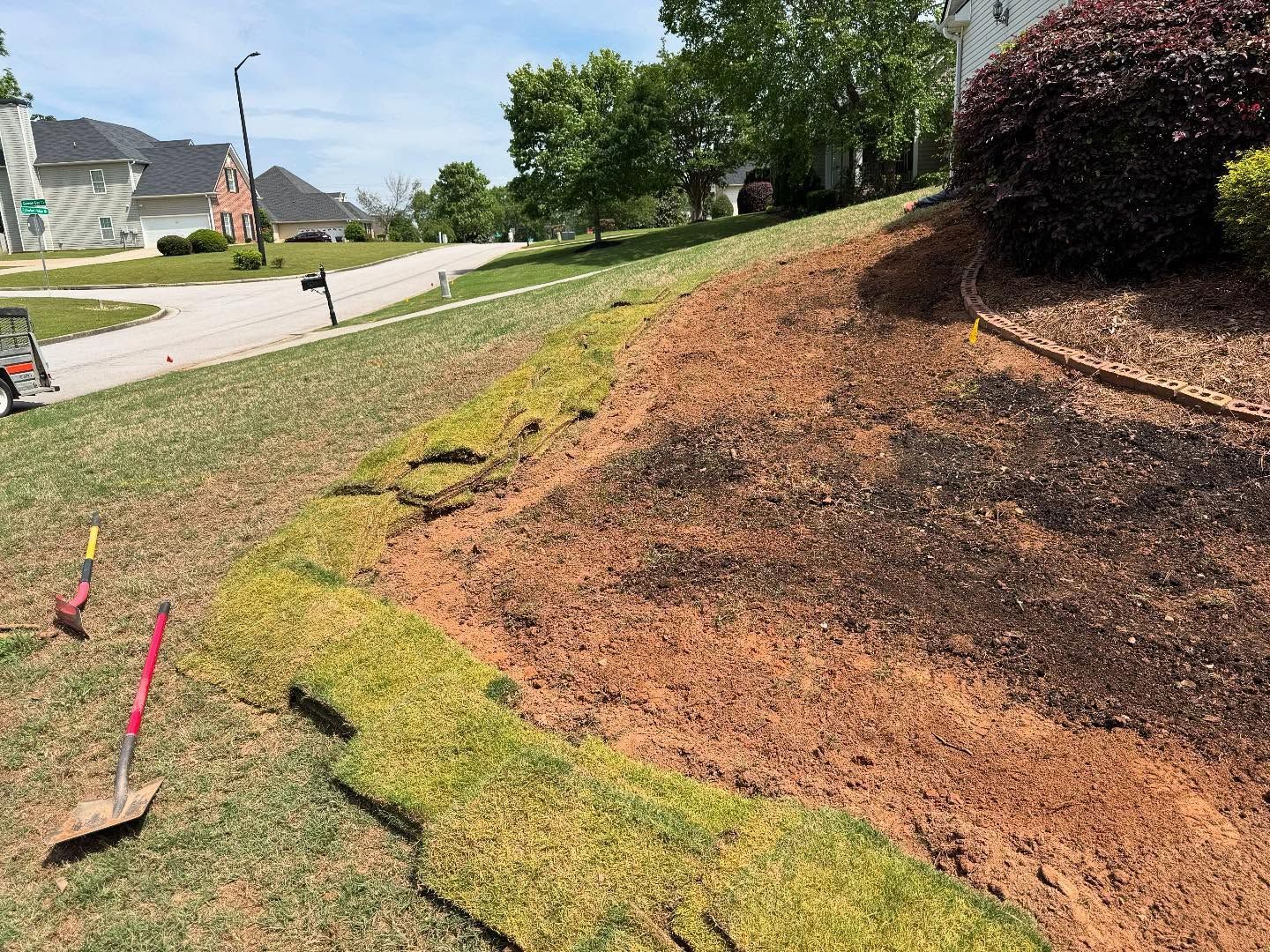 Mulched landscaped slope beside a road, with green grass, trees, and houses in the background