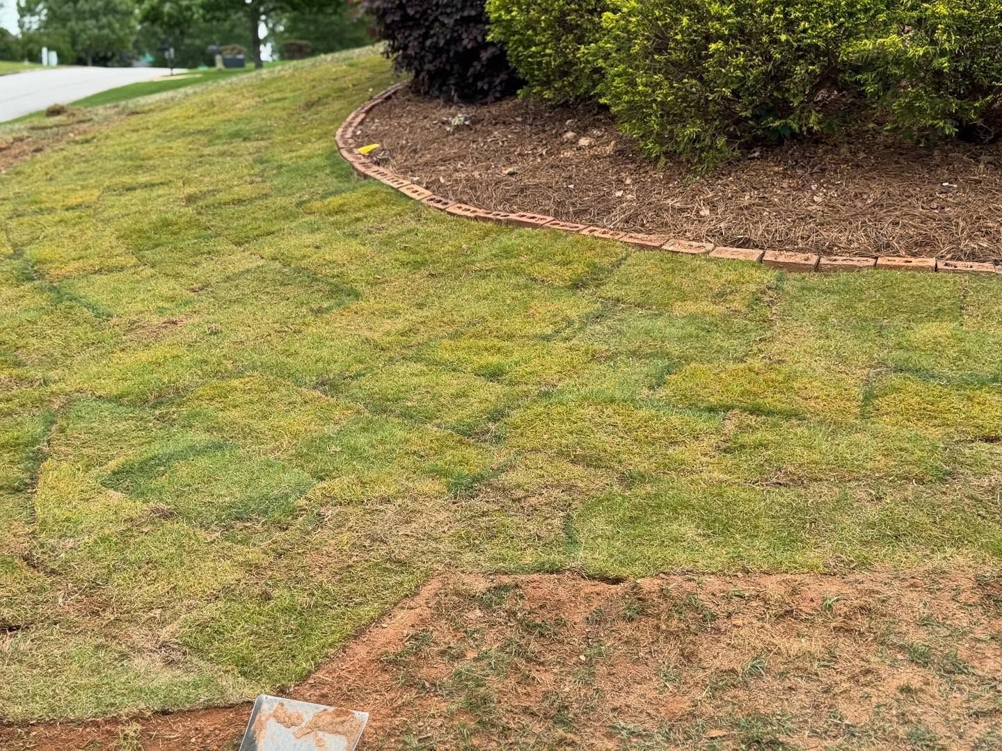 Curved grassy roadside with a brown mulch bed and shrubs along the edge