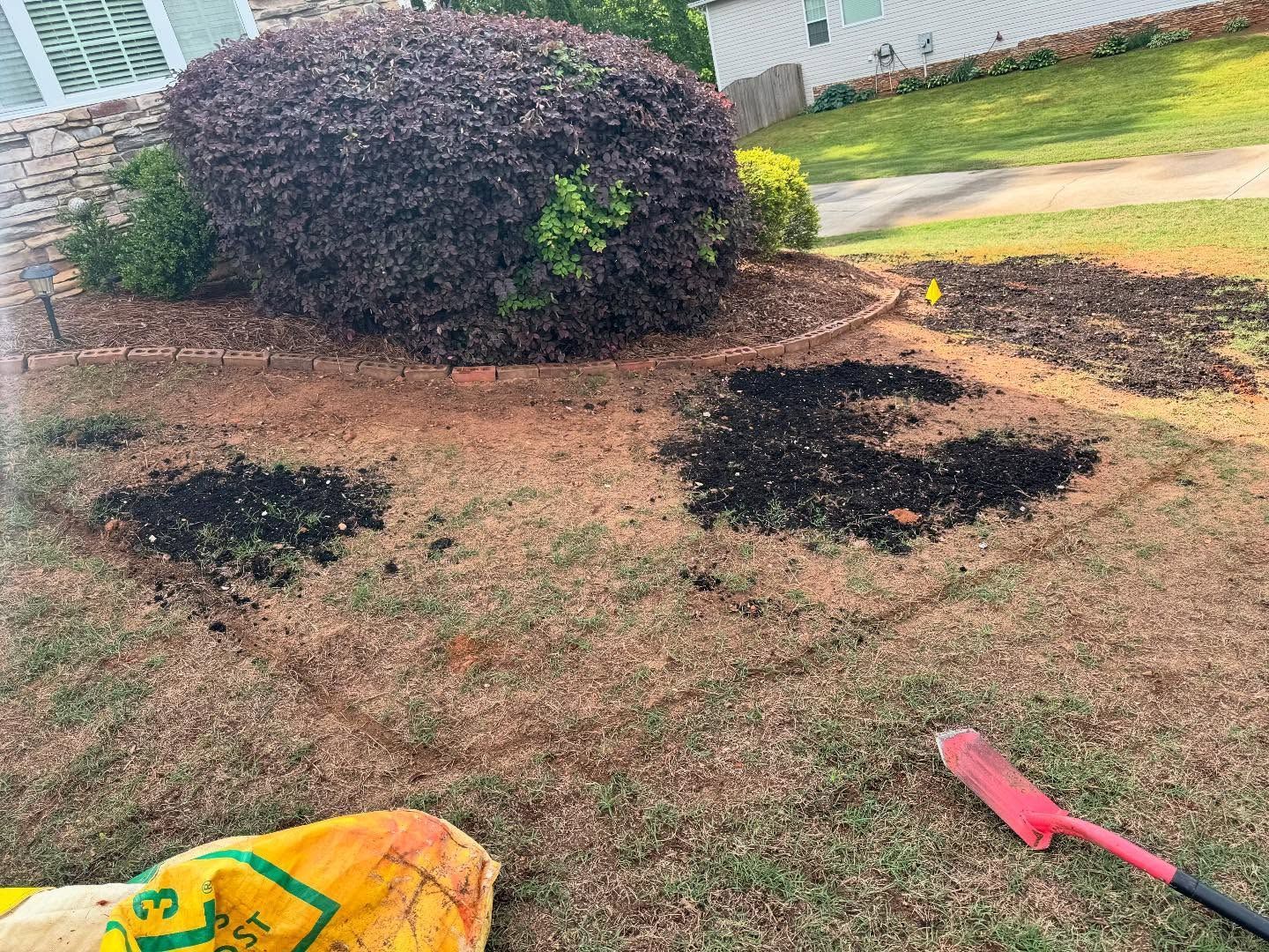 Yard with several black mulch patches, a shrub, and a red garden tool on the grass