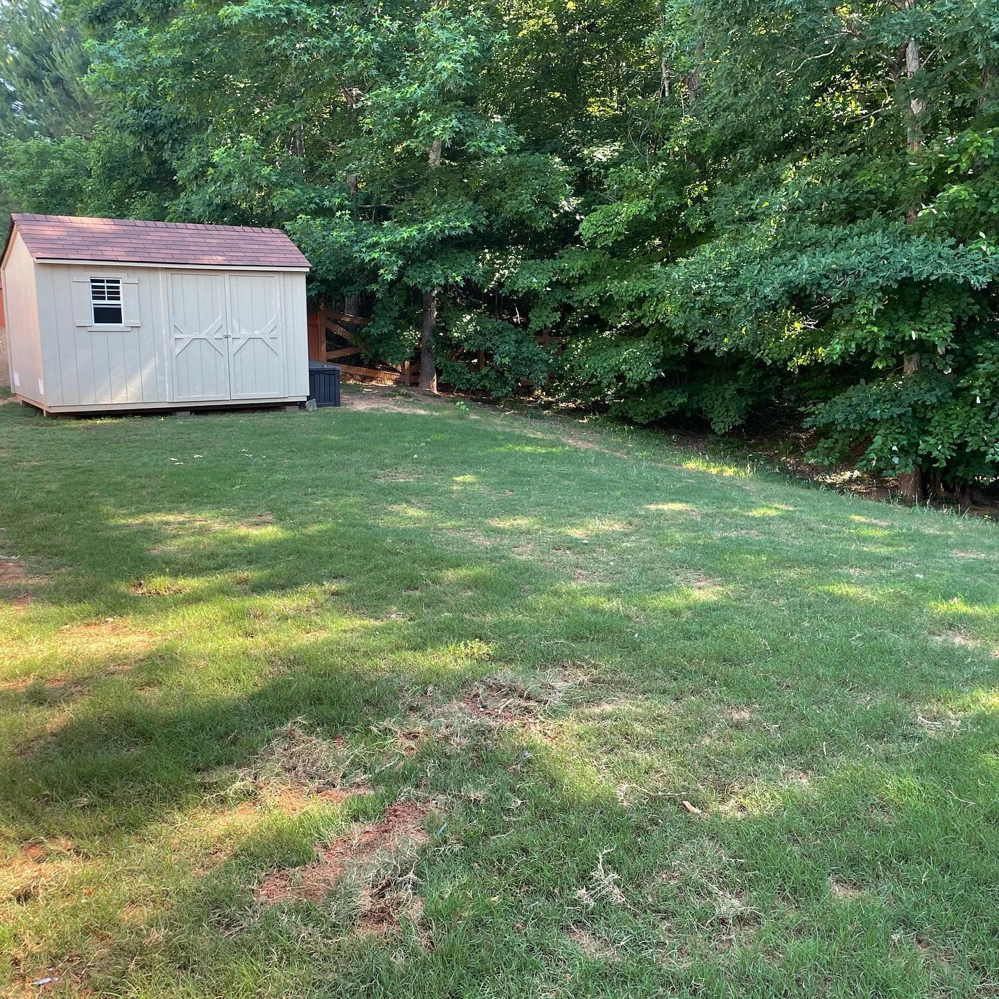 Backyard lawn with a small white shed and dense green trees in the background