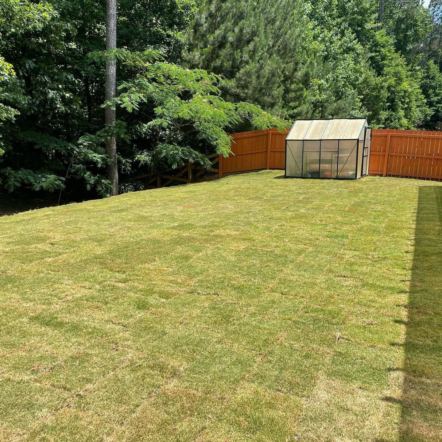 Sunny backyard with a mowed lawn, wooden fence, trees, and a small greenhouse at the back