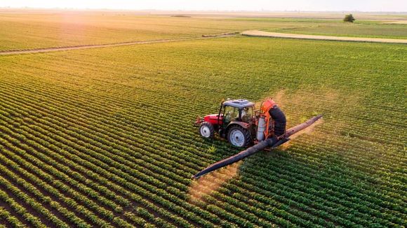 lavori agricoli