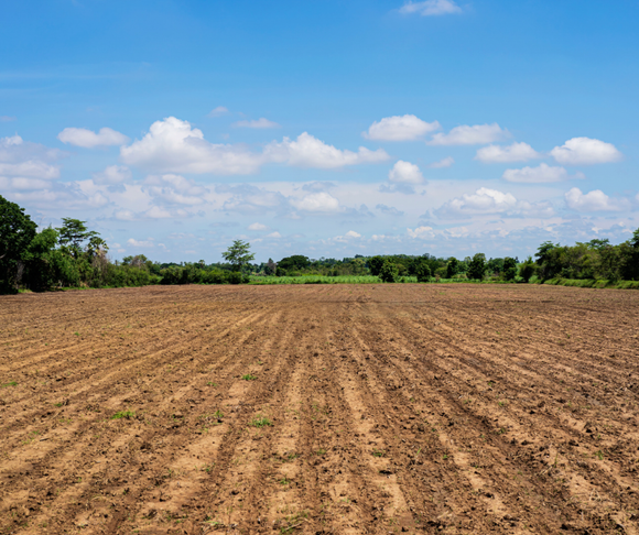 irrigazione agricola