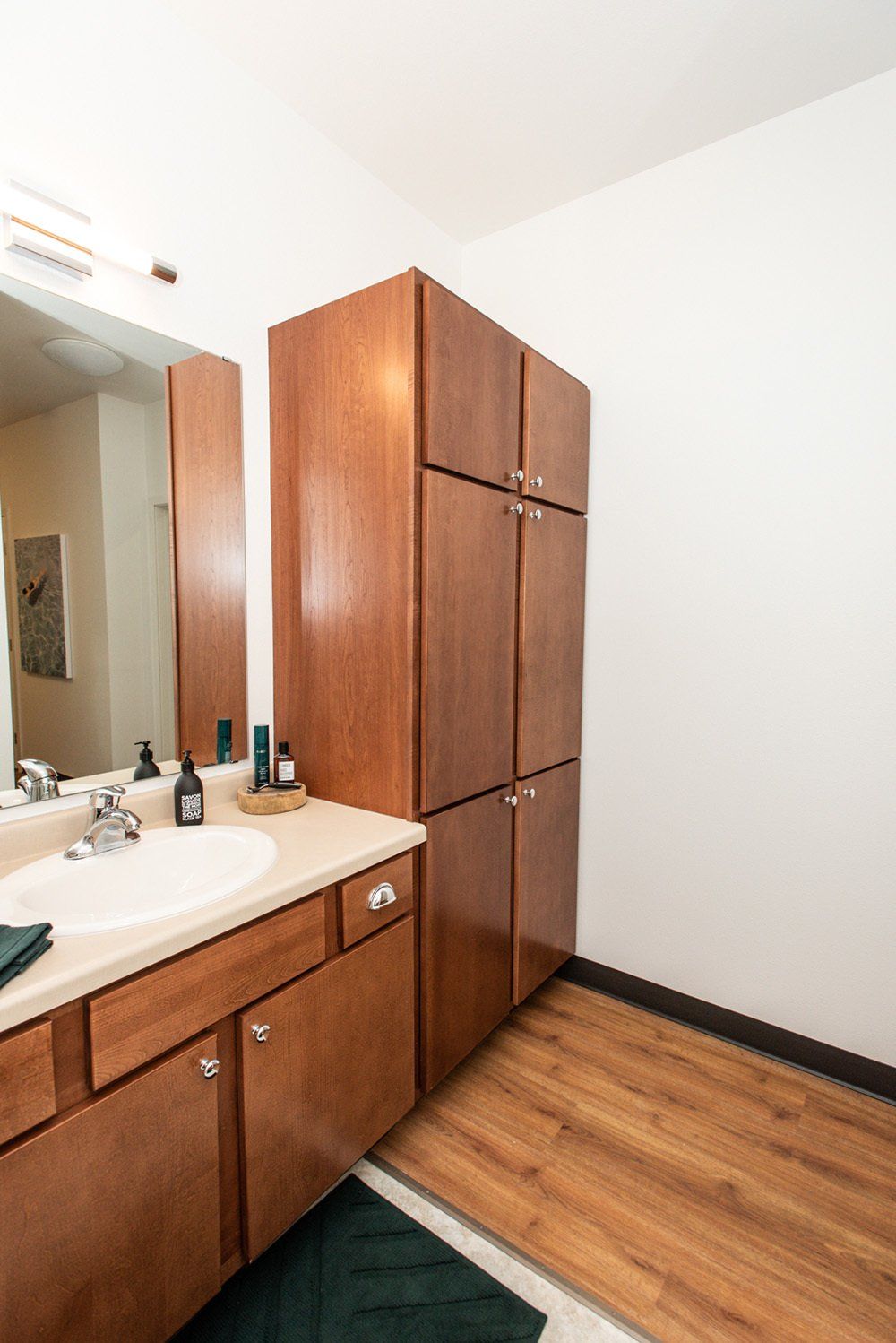 U32 Apartments in Fargo ND Bathroom with Storage