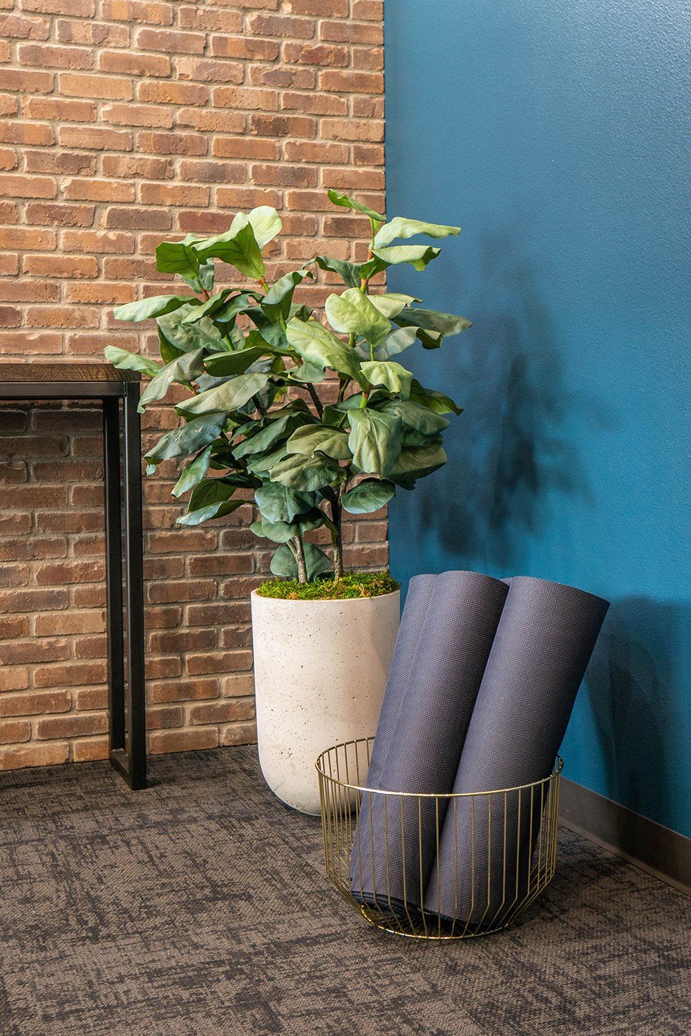 U32 Apartments in Fargo ND Yoga Studio Mats