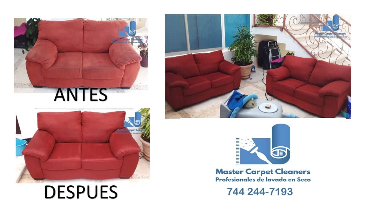 Master Carpet Cleaners Master Carpet Cleaners