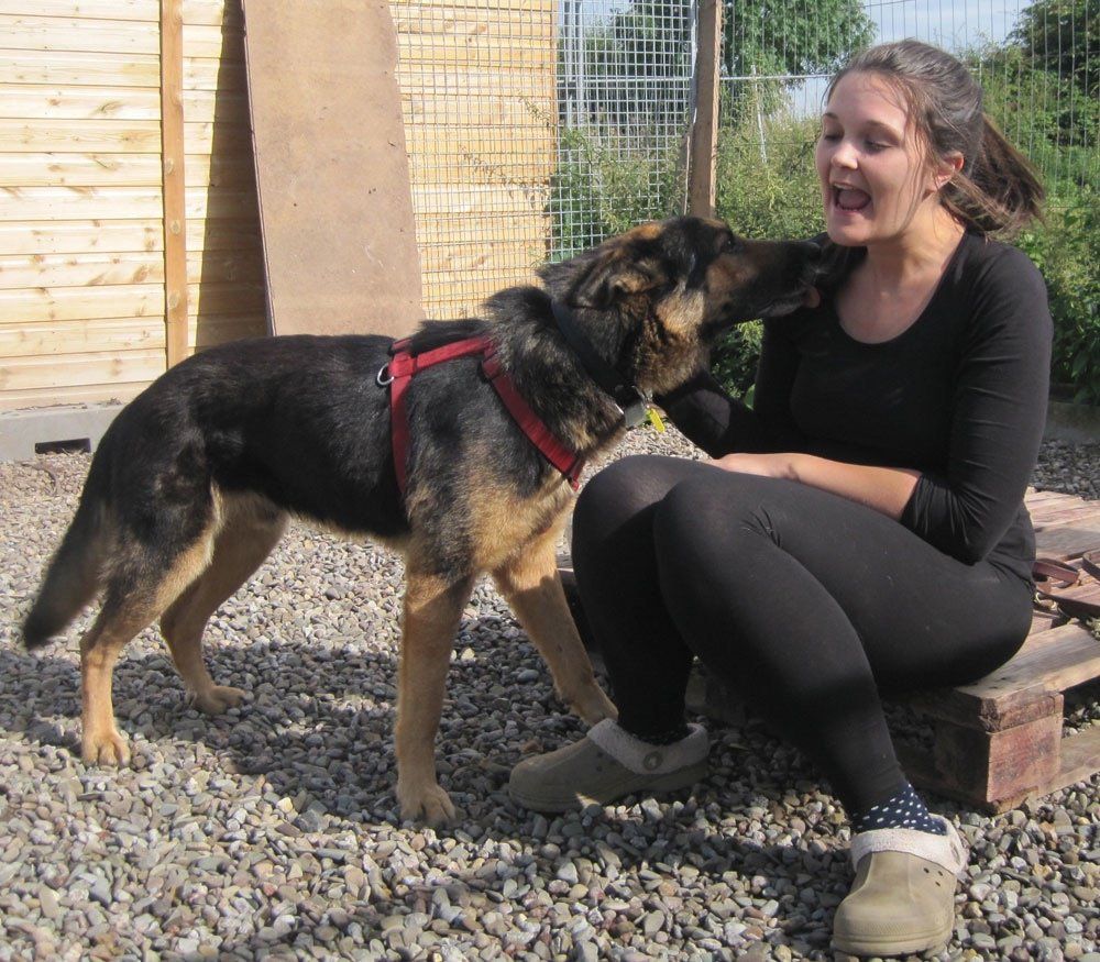 Handy Nanny dog walker with rescue dog Elvis
