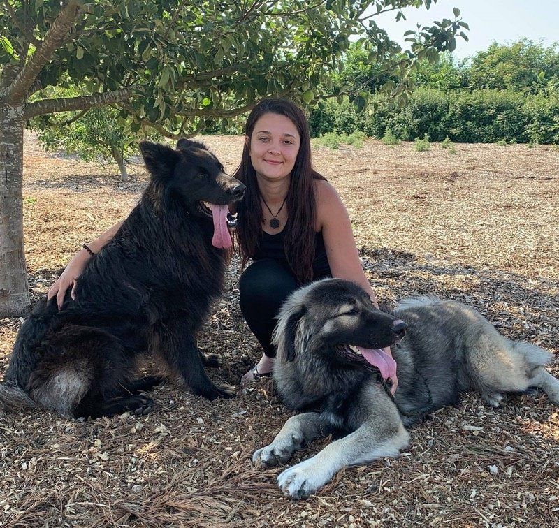 Handy Nanny with Goliath and Basil