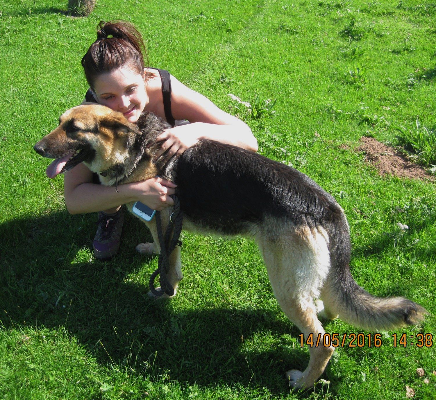 Shy GSD Sally Having A Hug