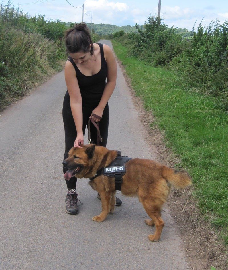 Walking The Ginger Ninja