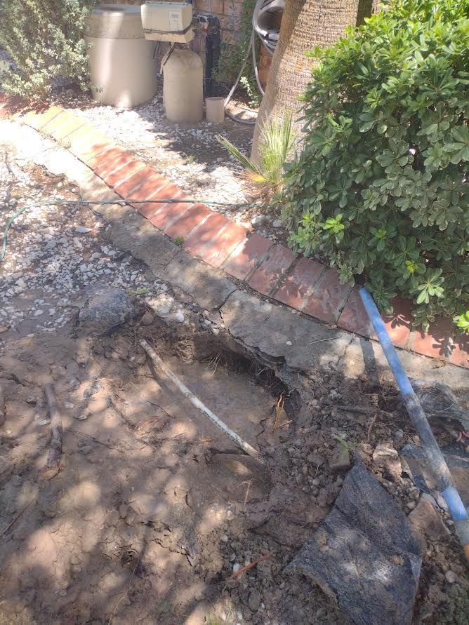 Broken brick walkway with a large muddy, cracked section beside a garden bush and trash bins