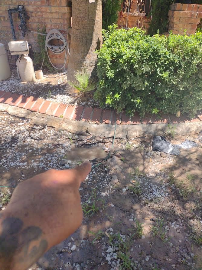Hand pointing toward a garden path beside a brick border and green shrub, with a cat in the background