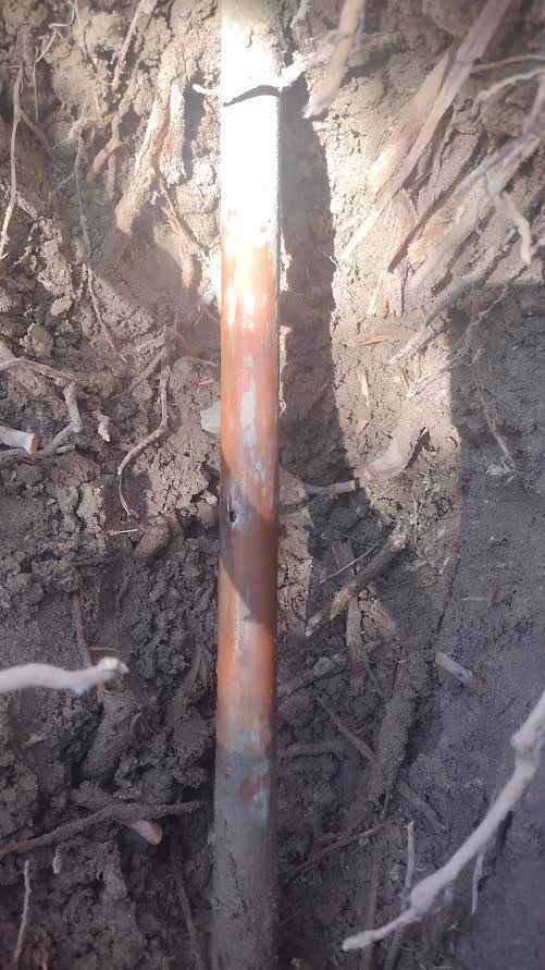 Rusty metal pipe standing in a dirt trench against exposed soil walls