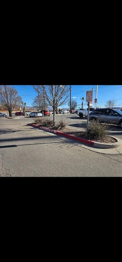 Parking lot with parked cars, leafless trees, and a red curb under a clear blue sky
