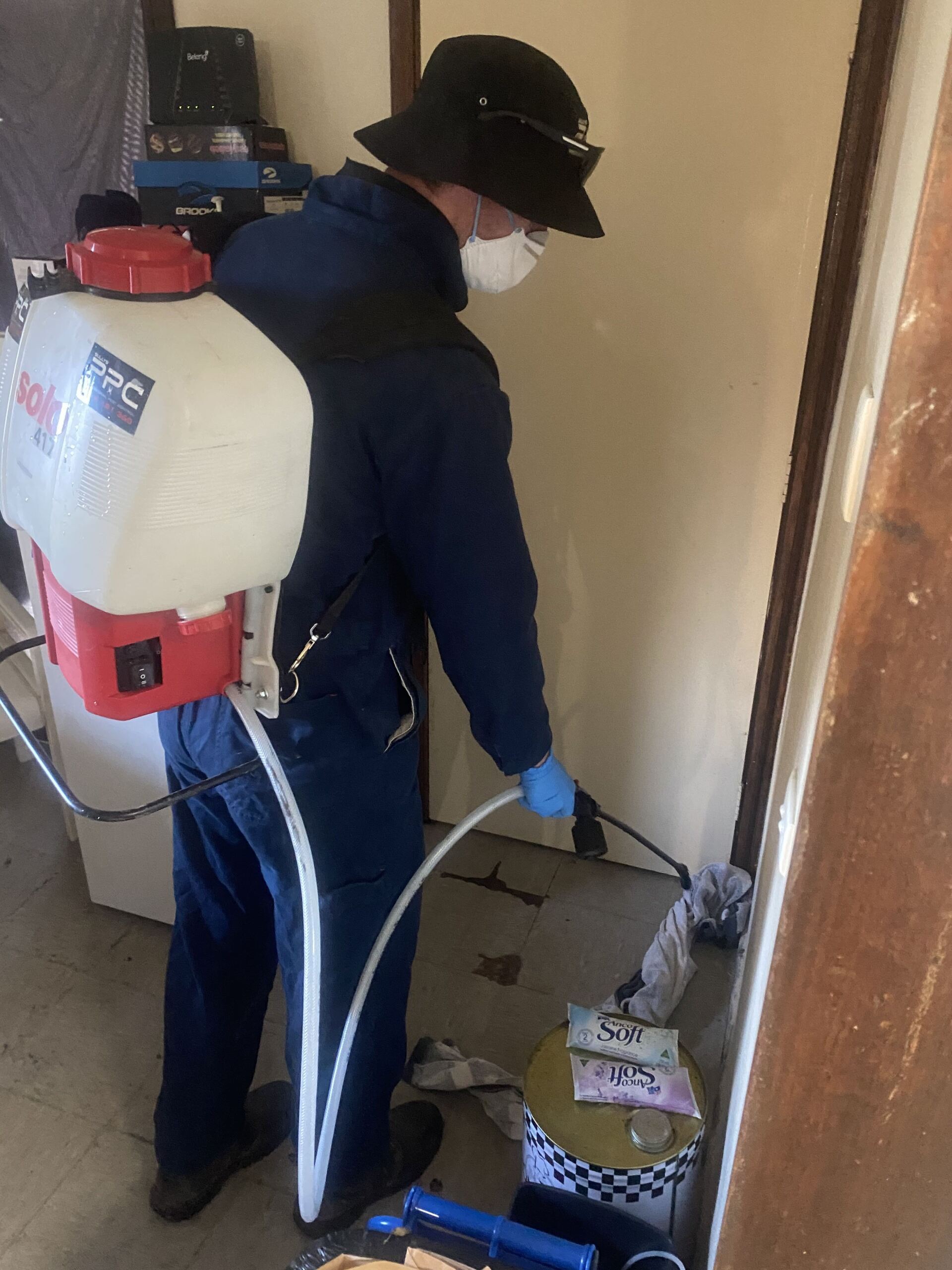Pest Control Albury Wodonga Professional Pest Control