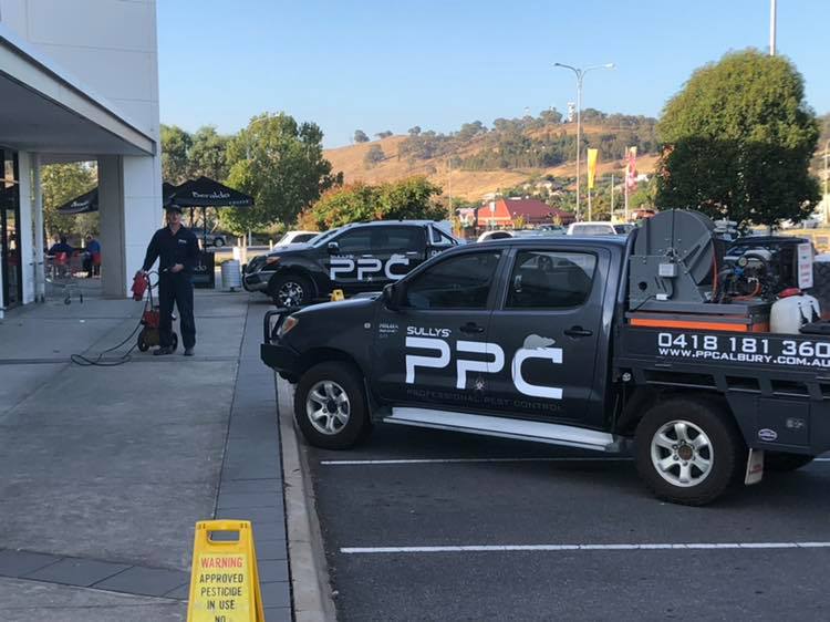 Two Company Vehicle With Pest Control Employee — Professional Pest Control In Thurgoona NSW