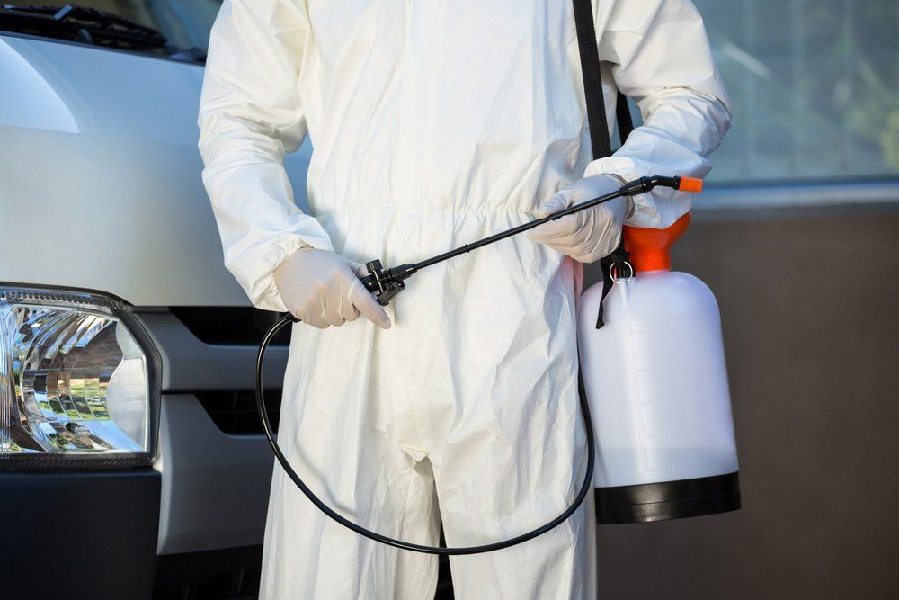 Food Processing Pest Control