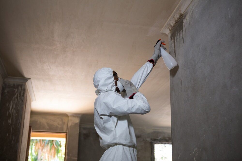 A Reliable Pest Control Company