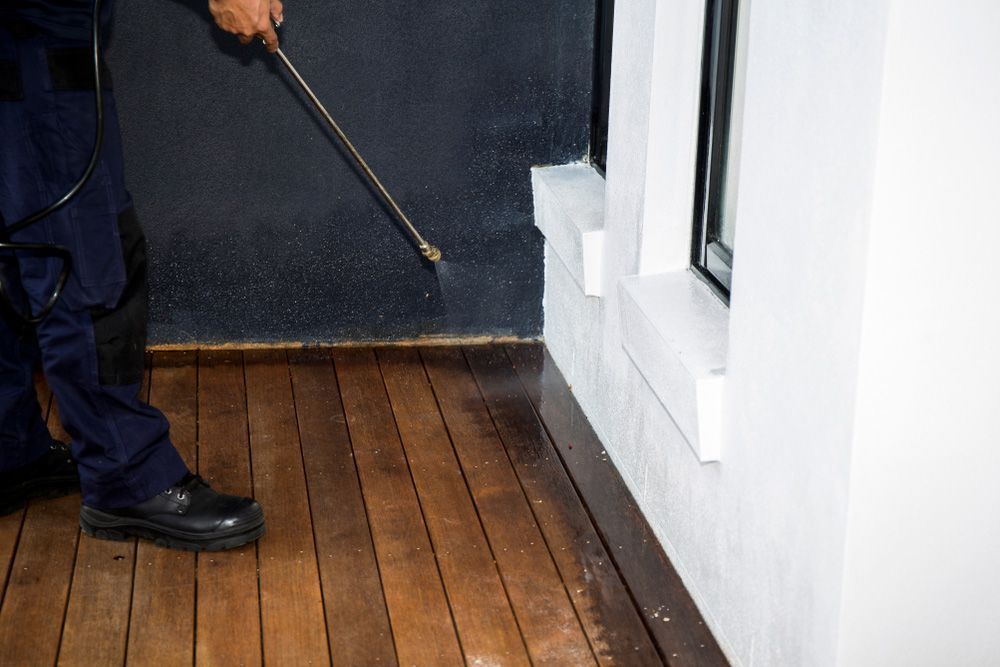 Pest Control Inspection Service