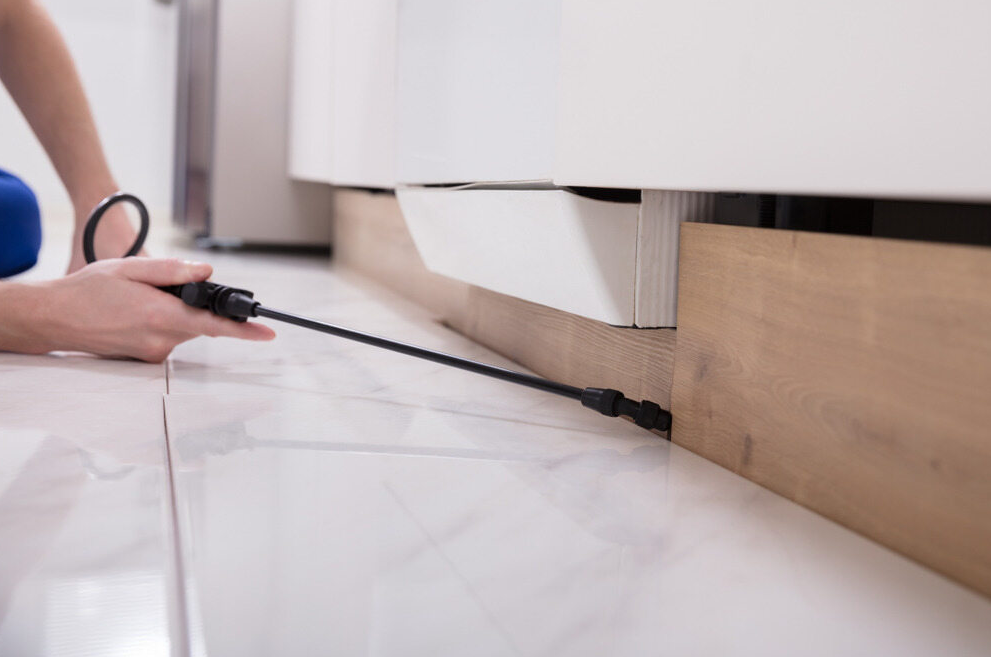 DIY Pest Control in a Residential Home