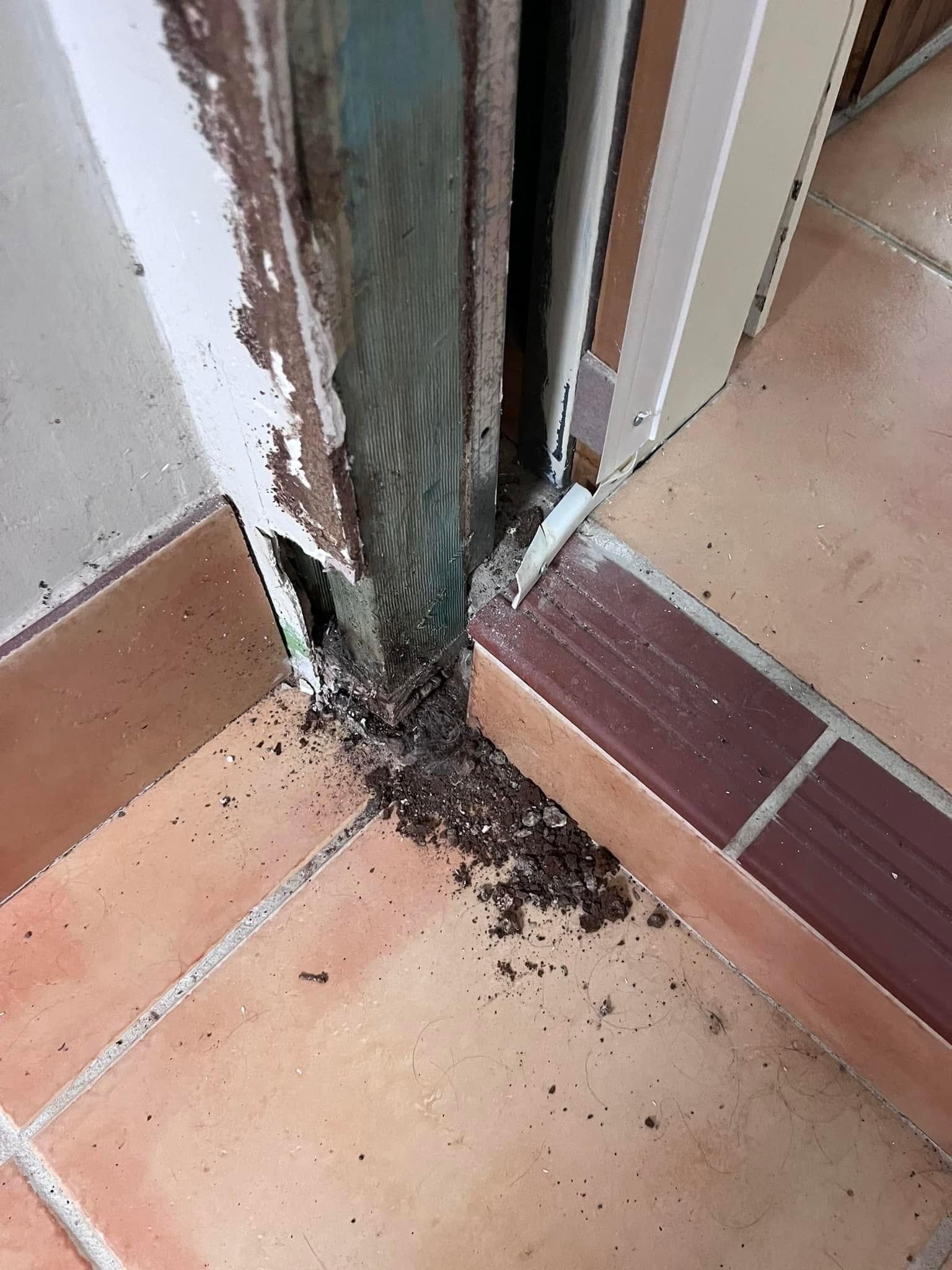 Damaged Door with Visible Rot in Albury Wodonga