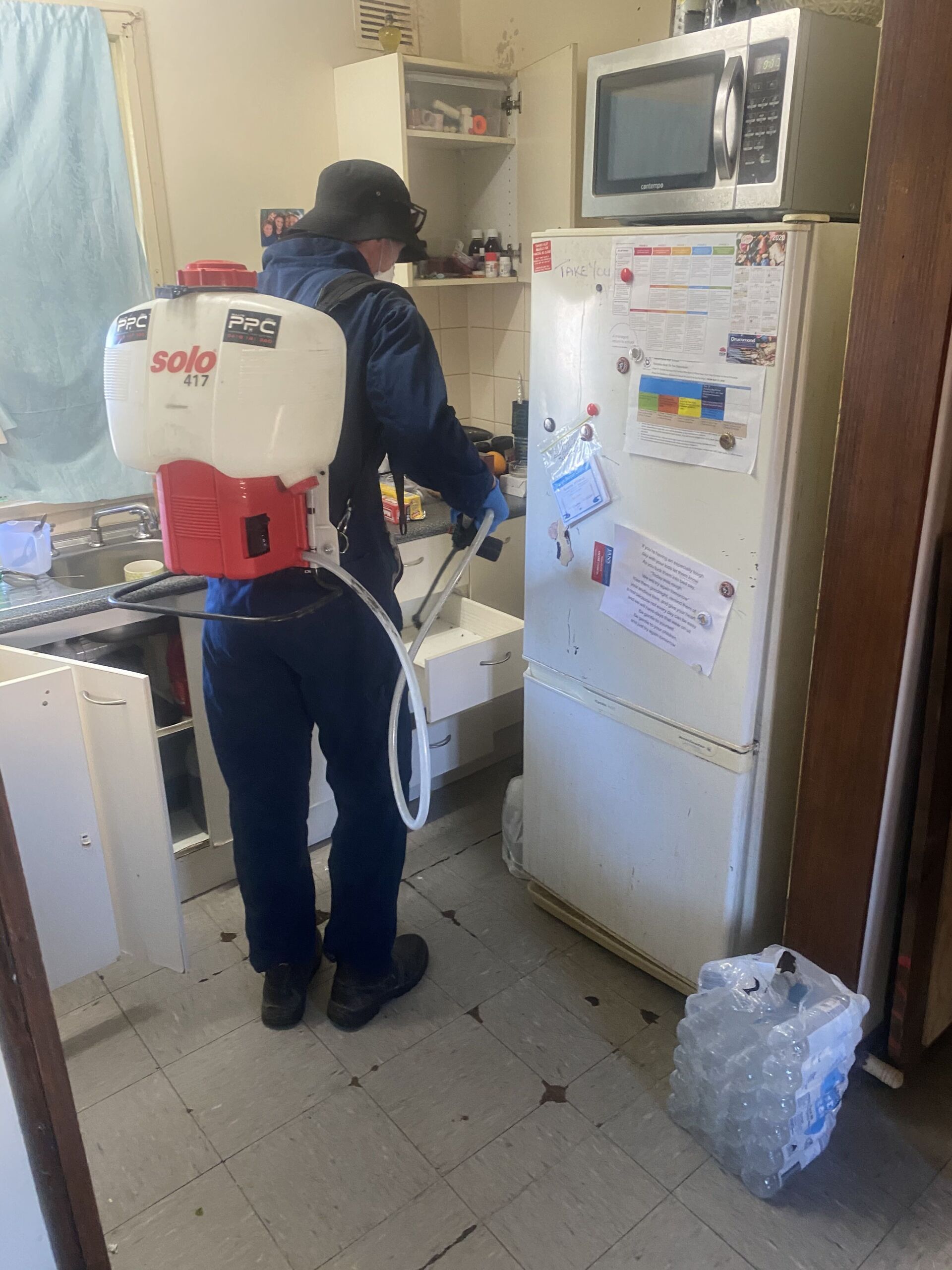 Technician spraying inside kitchen — Professional Pest Control In Thurgoona NSW