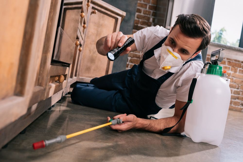 Pest Control Inspection Service