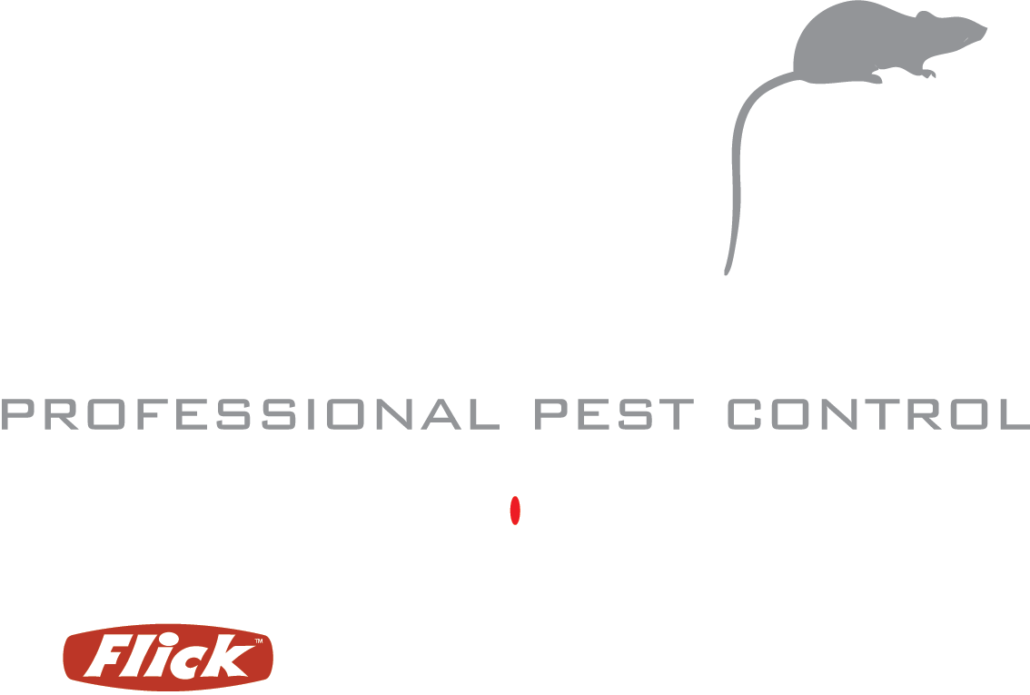 Professional Pest Control: Residential & Commercial Services in Albury-Wodonga Professional Pest Control in Albury-Wodonga