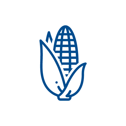 Sectores empresariales: Cultivos agrícolas