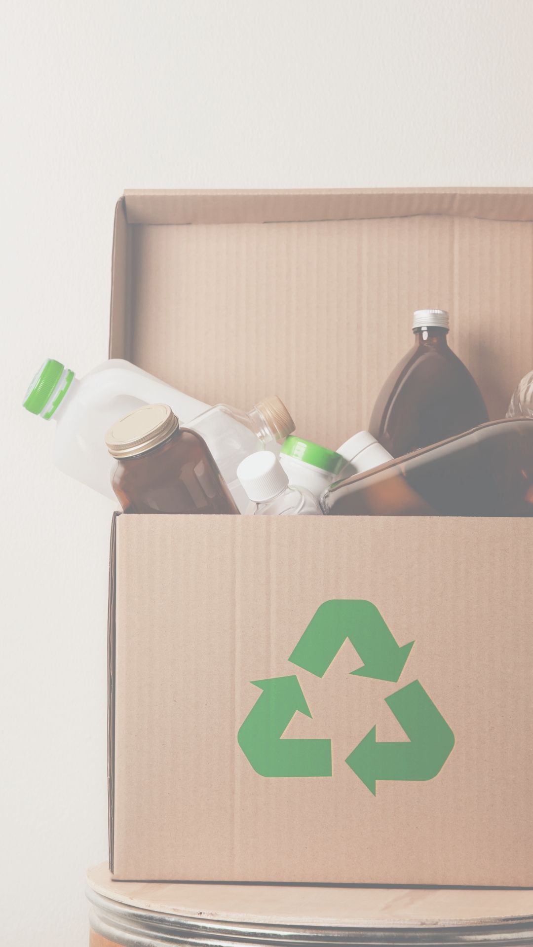 Consultoría en Sostenibilidad Ambiental
