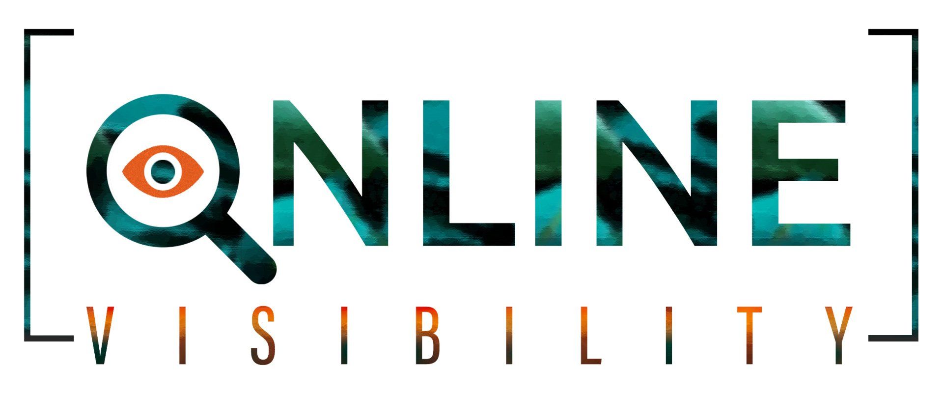 Online Visibility