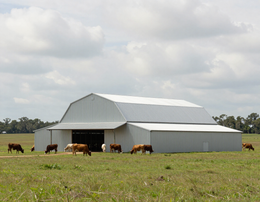 Agricultural Barns