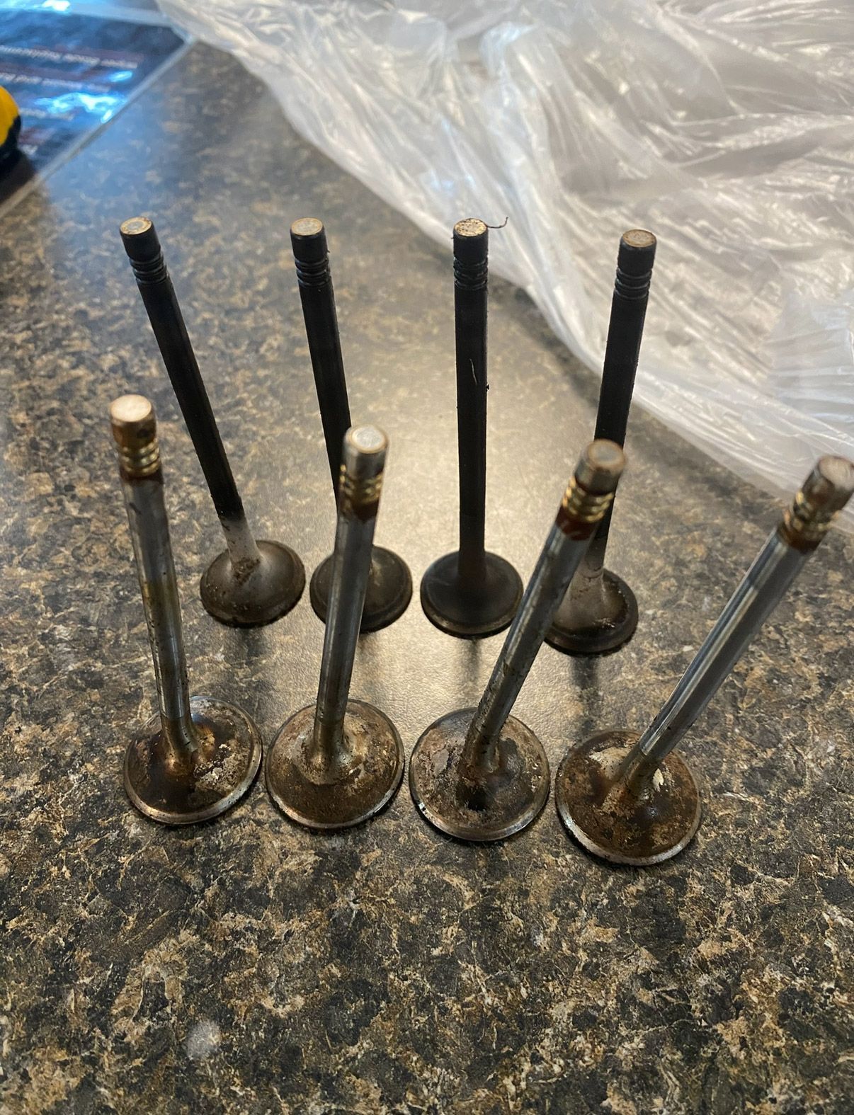 Several metal engine valves standing upright on a speckled countertop, with plastic sheeting in the background | Pitts Automotive