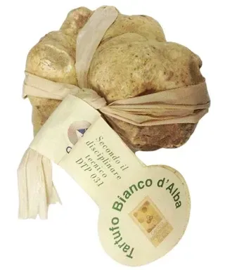TARTUFO BIANCO D’ALBA | ALBA WHITE TRUFFLE