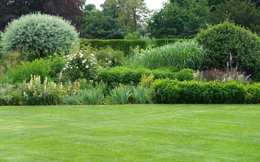 A Lush Green Lawn Surrounded by Trees and Bushes in a Garden — Becker Family Funerals In Taree, NSW
