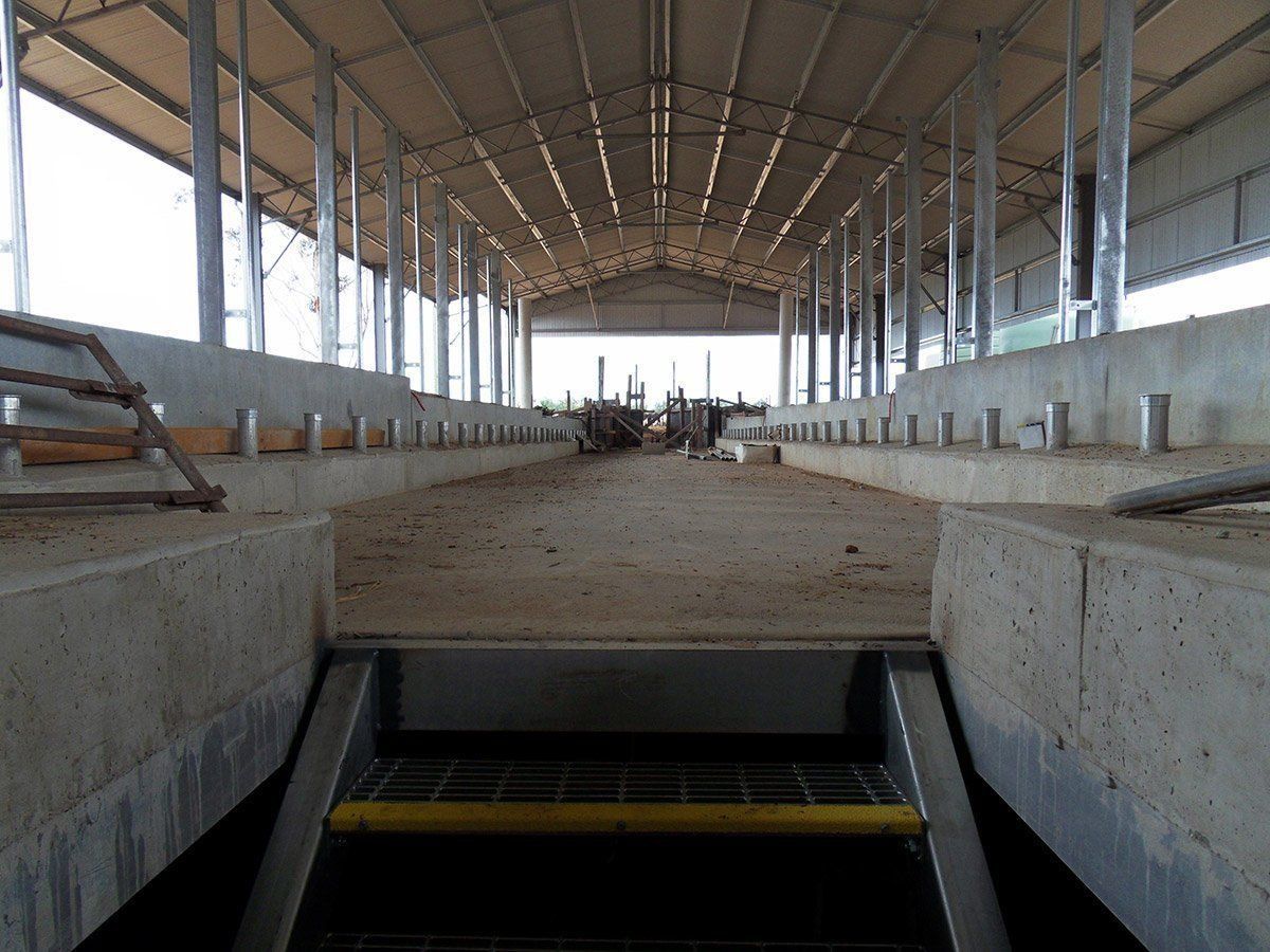 Dairy Sheds