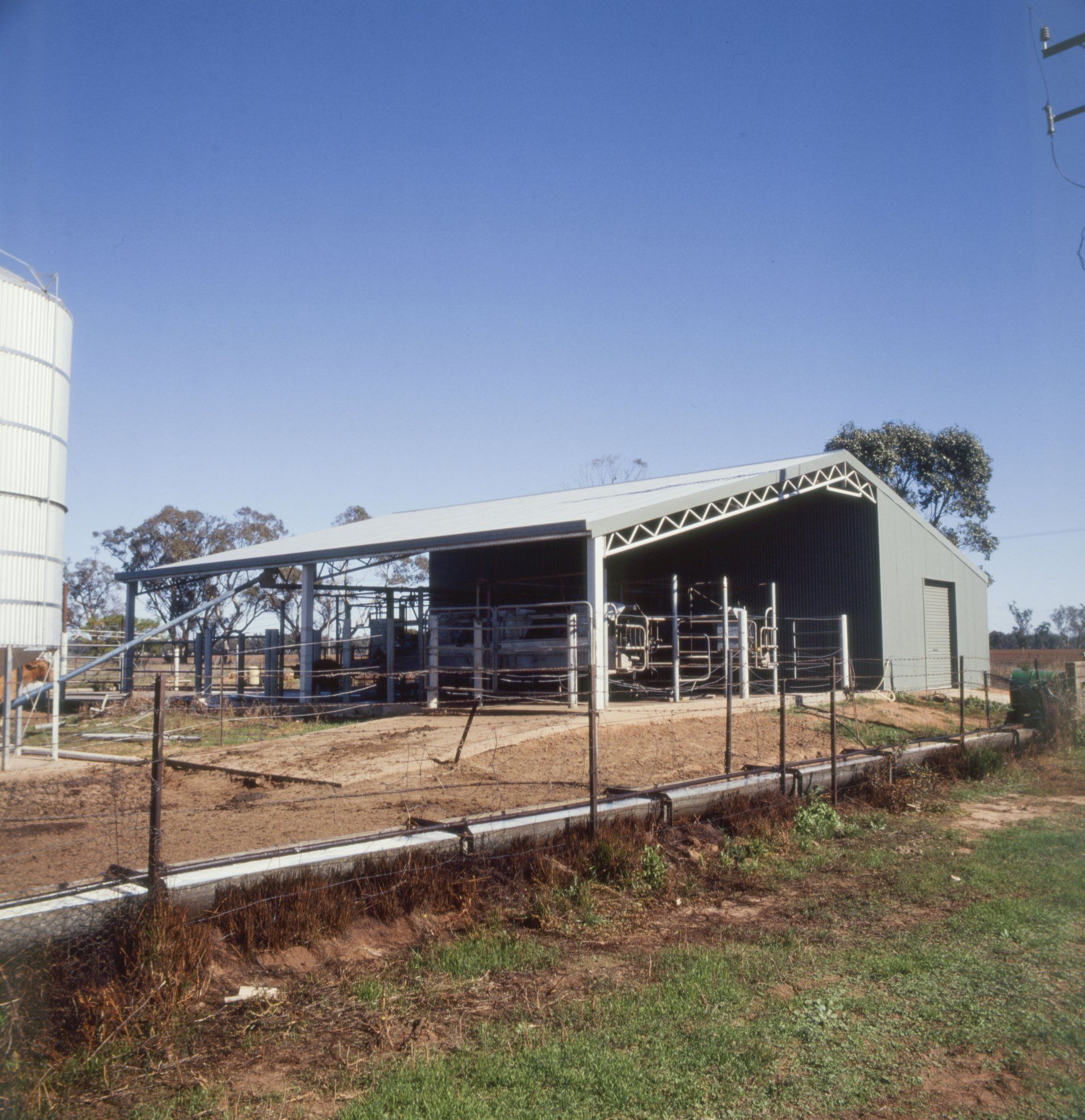 Dairy Sheds