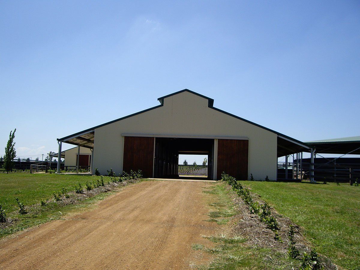 Horse Arena