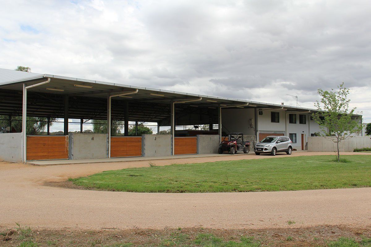 Horse Arena