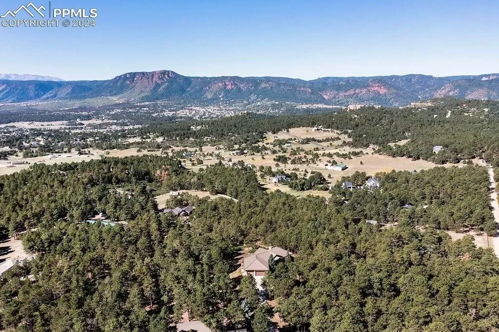 An aerial view of a lush green forest with mountains in the background.