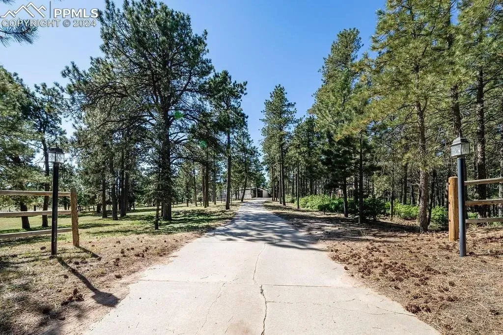 A dirt road going through a forest with trees on both sides
